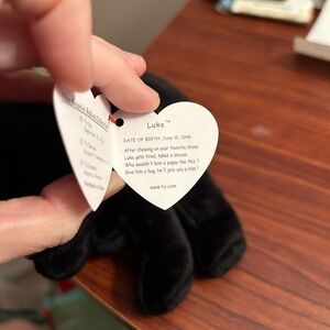 Luke the Dog Ty Beanie Baby